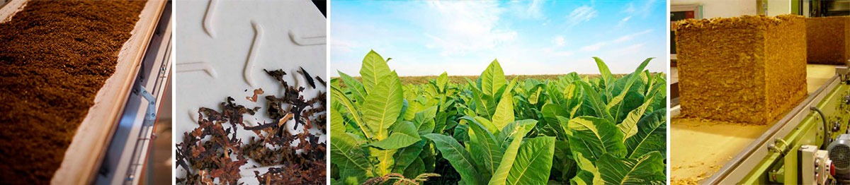 Bandas para Industria del Tabaco