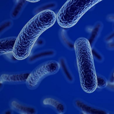 Antimicrobianas